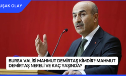 Bursa Valisi Mahmut Demirtaş Kimdir? Mahmut Demirtaş Nereli ve Kaç Yaşında?