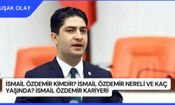 İsmail Özdemir Kimdir? İsmail Özdemir Nereli ve Kaç Yaşında? İsmail Özdemir Kariyeri