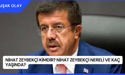 Nihat Zeybekçi Kimdir? Nihat Zeybekçi Nereli ve Kaç Yaşında?