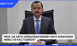 Prof. Dr. Mete Gündoğan Kimdir? Mete Gündoğan Nereli ve Kaç Yaşında?