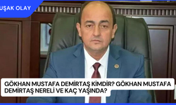 Gökhan Mustafa Demirtaş Kimdir? Gökhan Mustafa Demirtaş Nereli ve Kaç Yaşında?