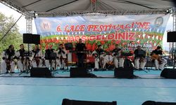 Muş'ta "6. Lale Festivali" düzenlendi