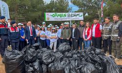 Uşak Valisi Ergün 'Orman Benim' Etkinliği Kapsamında Gençlerle Çöp Topladı