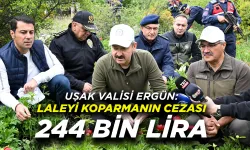 Uşak Valisi Ergün: Laleyi Koparmanın Cezası 244 Bin TL