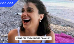 Pınar Gültekin Kimdir? Olayı Ne?