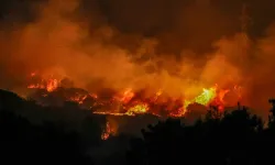 KIRKLARELİ - Trakya'da ormanlar yangınlara karşı 18 kuleden gözetleniyor