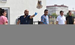 Afyonkarahisar'da tedavileri tamamlanan kuşlar doğaya salındı