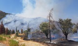 İzmir'de Ormanlık Alanda Çıkan Yangına Müdahale Ediliyor