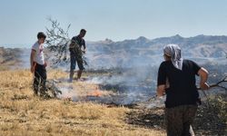 Turgutlu'da tarım arazisinde çıkan yangına müdehale edildi