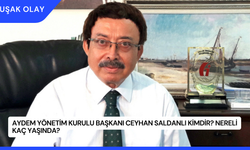 Aydem Yönetim Kurulu Başkanı Ceyhan Saldanlı Kimdir? Nereli Kaç Yaşında?