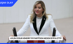 Aylin Cesur kimdir? İYİ Parti'den Neden İstifa Etti?