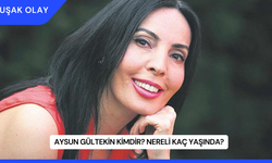 Aysun Gültekin Kimdir? Nereli Kaç Yaşında?