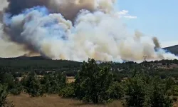 Banaz’da Orman Yangını: Kızılcaören ve Kuşdemir Köyleri Tehlikede!