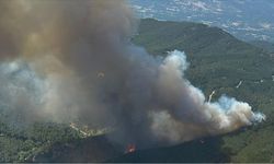 İzmir Bergama'da ormanlık alanda çıkan yangına müdahale ediliyor