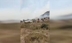 Çeşme'deki yangında ölen kadın çektiği videoyu sosyal medyada paylaşmış