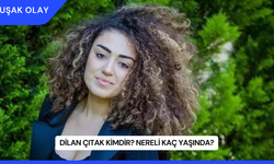 Dilan Çıtak Kimdir? Nereli Kaç Yaşında?