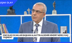 Eski Ülkü Ocakları Başkanı Alaattin Aldemir Kimdir? Nereli Kaç Yaşında?