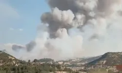 Uşak Karabol Köyü Kayaağıl Mevki Orman Yangını Çıktı!