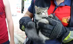 İzmir'de otomobilin kaputuna giren kedi yavrusunu itfaiye ekipleri kurtardı