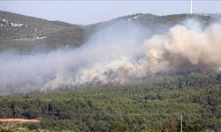 İzmir'in Urla ilçesinde çıkan orman yangın söndürülmeye çalışılıyor.