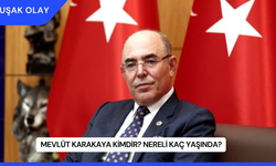 Mevlüt Karakaya Kimdir? Nereli Kaç Yaşında?