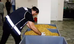 Denizli'de 1 ton 164 kilogram kaçak nargile tütünü ele geçirildi