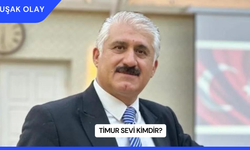 Timur Sevi Kimdir?