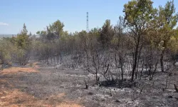 Muğla'da ormanlık alanda çıkan yangın kontrol altına alındı