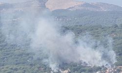 İzmir Bergama'da çamlıkta çıkan yangın kontrol altına alındı