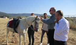 Kale Belediyesi at çiftliği kurdu