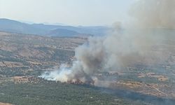 Manisa Yunusemre'de çıkan orman yangınına müdahale ediliyor