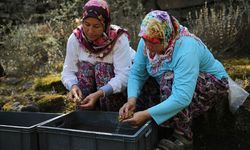 Manisa'daki antik kentin sarnıçları su toplamaya devam ediyor