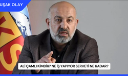 Ali Çamlı Kimdir? Ne İş Yapıyor Serveti Ne Kadar?