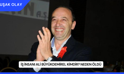 İş İnsanı Ali Büyükdemirel Kimdir? Neden Öldü