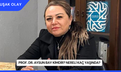 Prof. Dr. Aysun Bay Kimdir? Nereli Kaç Yaşında?