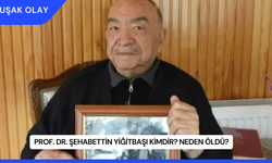 Prof. Dr. Şehabettin Yiğitbaşı Kimdir? Neden Öldü?