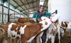 Uşaklı Ev Hanımından Çiftlik Sahibesine: Süreyya Kozak’ın İlham Veren Hikayesi