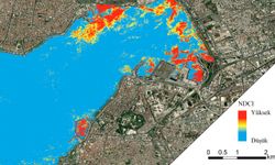 İzmir Körfezi'ndeki kirliliğin haritası uydu görüntüleriyle çıkarıldı