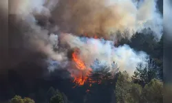 Muğla'daki orman yangınlarına müdahale devam ediyor