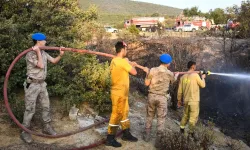 Uşak’taki Orman Yangınlarda Kaç Kişiye Ne Kadar Ceza Geldi