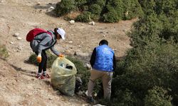 Çine'de gençlik merkezi gönüllüleri orman temizledi