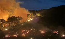 Muğla'da çıkan iki orman yangınına müdahale ediliyor