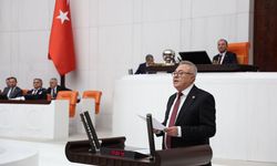 Karaoba: Neden Yerli Ceviz Yerine Şili ve Çin’den İthal Ediyoruz?