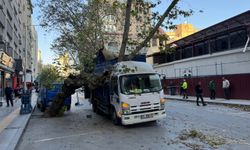 İzmir'de çarptığı ağacın üzerine devrilmesi sonucu kamyonette hasar oluştu