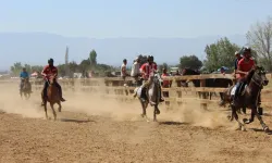 Kütahya'daki rahvan at yarışlarında 40 şehirden 100 at mücadele etti