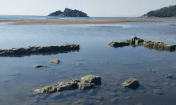 Muğla'da denizin çekilmesiyle tarihi gümrük binasının temeli ortaya çıktı