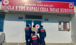 Muğla'da 2 firari hükümlü yakalandı