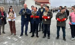 Afyonkarahisar'da tedavileri tamamlanan 13 kuş doğaya salındı