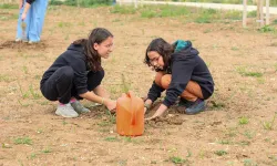 Efeler'de Gazze'ye destek için fidan dikildi