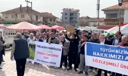 Eşme'de Tütün Çiftçilerinden Protesto: “Emeğimiz Sömürülüyor”